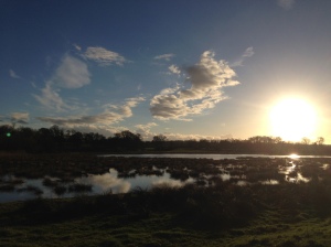 Sun over the wetlands at The Vyne